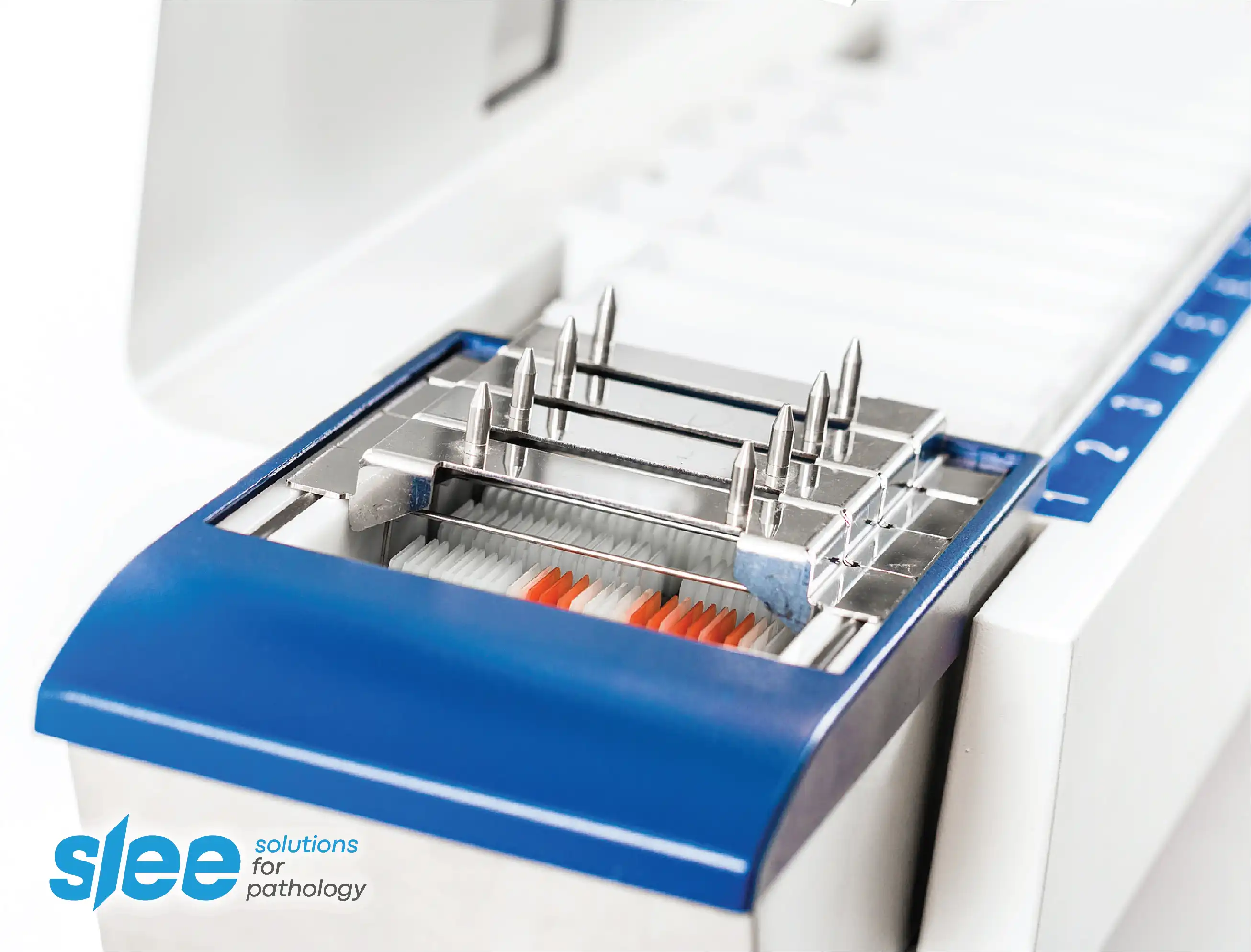 Slee Staining Systems